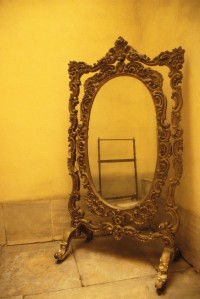 She's NEAT mirror http://shesneat.com